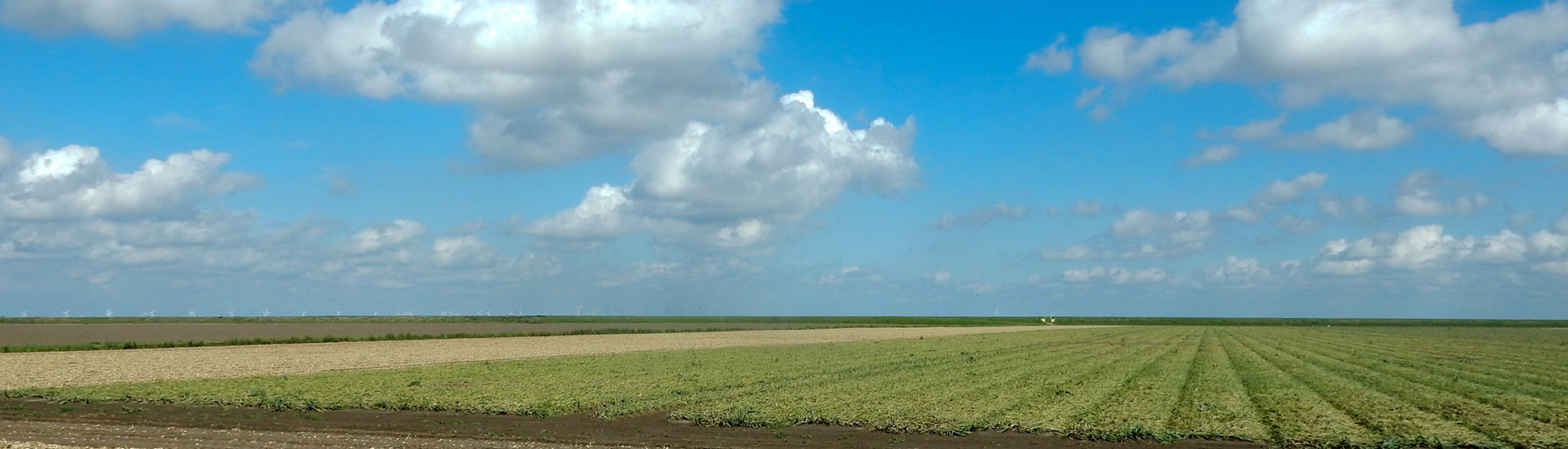 Polders